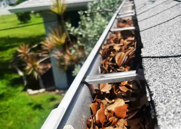 Cleveland Heights gutter cleaning home page